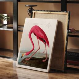Antique Pink Flamingo Print, John James Audobon Poster, Retro Home Decor, Wildlife Wall Art, Giclee Museum Nursery Illustration - thumbnail 3