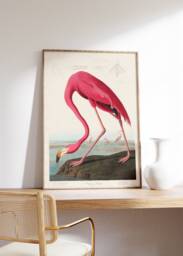 Antique Pink Flamingo Print, John James Audobon Poster, Retro Home Decor, Wildlife Wall Art, Giclee Museum Nursery Illustration - thumbnail 1
