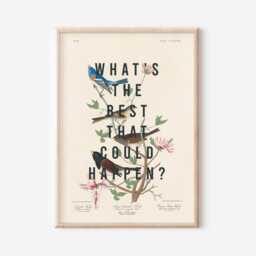 What's The Best That Could Happen, Typography Quote Print, Unframed, A3/A4/A5, Fun Quirky Vintage Bird Ornithology Print - thumbnail 3