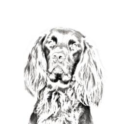 German Longhaired Pointer - Wooden Stand For Candles/Pens With The Image Of A Dog New Collection - thumbnail 2