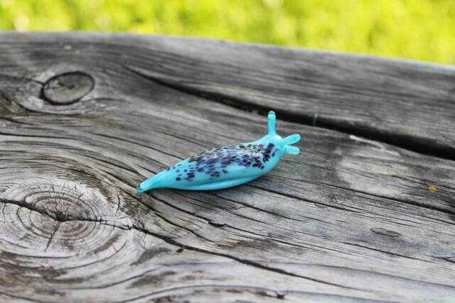 Spotted Slug Glass Sculpture Glass Slug Lampwork Glass Animals Handcrafted Snail - image 1
