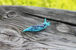 Spotted Slug Glass Sculpture Glass Slug Lampwork Glass Animals Handcrafted Snail - thumbnail 1