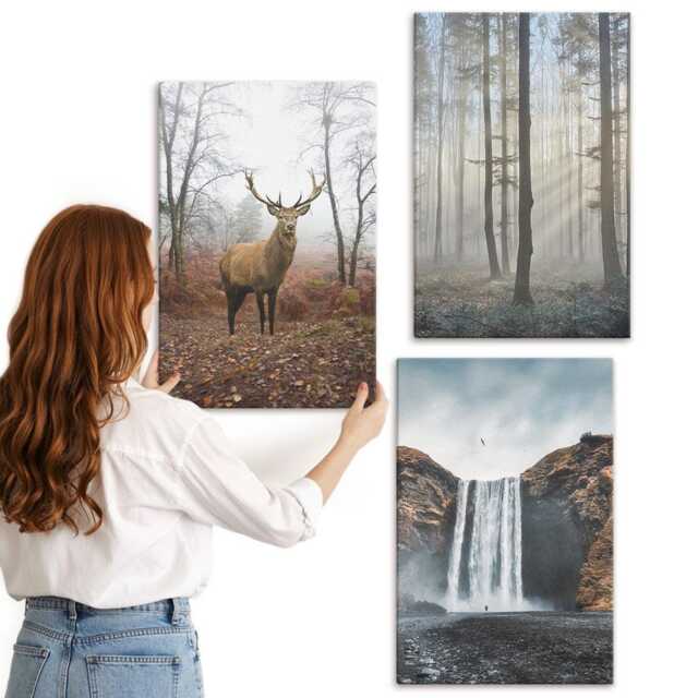 Canvas Set Of 3 - Forest Landscapes Wild Nature Deer, Gray Wall Art, Hanging Piece - image 1
