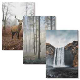 Canvas Set Of 3 - Forest Landscapes Wild Nature Deer, Gray Wall Art, Hanging Piece - thumbnail 2