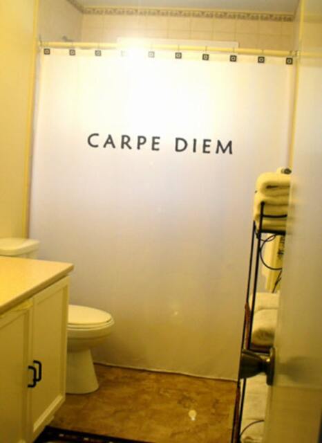 Carpe Diem Shower Curtain, Motivational Quote, Bathroom Decor - image 1