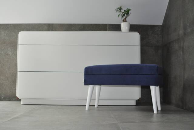 A Bench With Storage Space, A Navy Blue Decorative Bench, & Hall Furniture - image 1