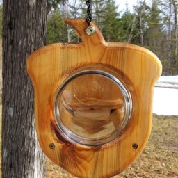 Hanging Acorn Gallon Glass Jar Squirrel Feeder Cedar Wood Tbnup #2Ac - thumbnail 2