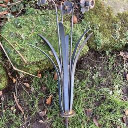 Metal Garden Rusty Daffodil Flower Spray Stake - thumbnail 4