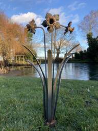 Metal Garden Rusty Daffodil Flower Spray Stake - thumbnail 1