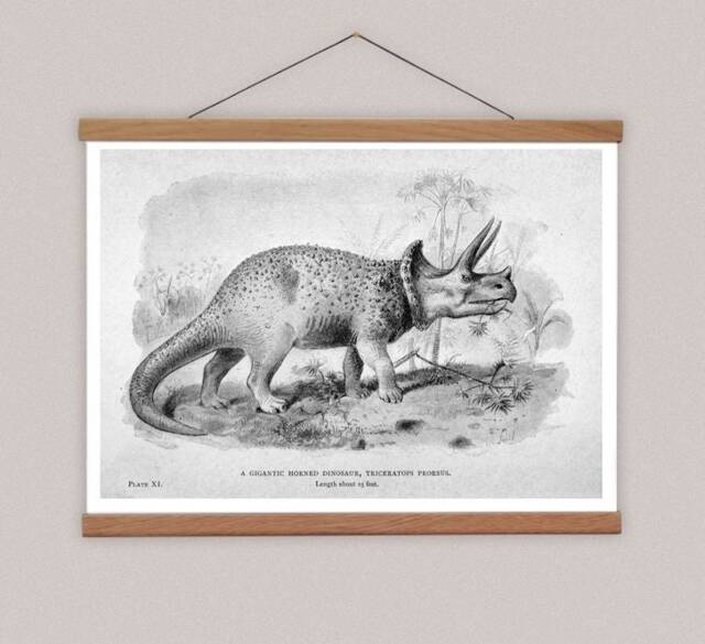 Vintage Stegosaurus Canvas Print With Oak Magnetic Poster Hanger - image 1