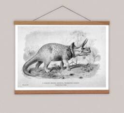 Vintage Stegosaurus Canvas Print With Oak Magnetic Poster Hanger - thumbnail 1