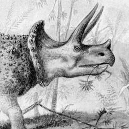 Vintage Stegosaurus Canvas Print With Oak Magnetic Poster Hanger - thumbnail 2