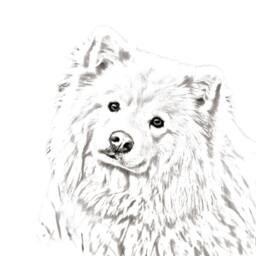 Finnish Lapphund - Wooden Stand For Candles/Pens With The Image Of A Dog New Collection - thumbnail 2