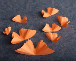 3D Wall Butterflies, Cantaloupe Melon Butterfly Silhouettes For Girls Room, Nursery, & Home Decor - thumbnail 1