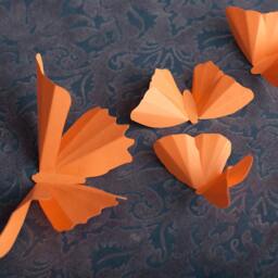 3D Wall Butterflies, Cantaloupe Melon Butterfly Silhouettes For Girls Room, Nursery, & Home Decor - thumbnail 2
