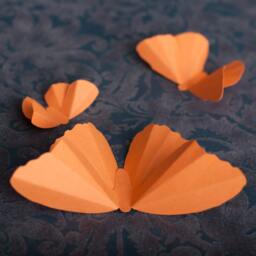 3D Wall Butterflies, Cantaloupe Melon Butterfly Silhouettes For Girls Room, Nursery, & Home Decor - thumbnail 3