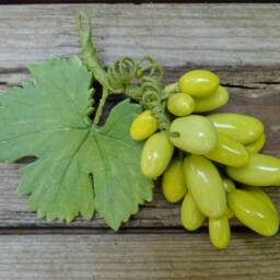 Handmade Ceramic 20 Grapes, - 1Piece Realistic Fruit Decor - thumbnail 4