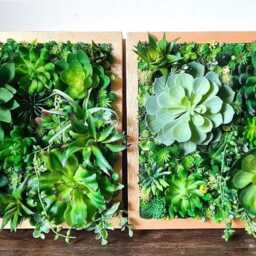 Faux Succulent 3D Wall Art Rustic Wood Framed Botanical Decor For Home & Business - thumbnail 4