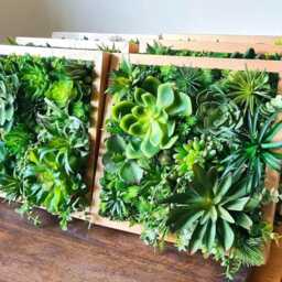 Faux Succulent 3D Wall Art Rustic Wood Framed Botanical Decor For Home & Business - thumbnail 3