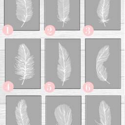 Feather Print Set, Feathers Wall Art, Grey Prints, Set Of Bedroom Gray White Decor - thumbnail 2