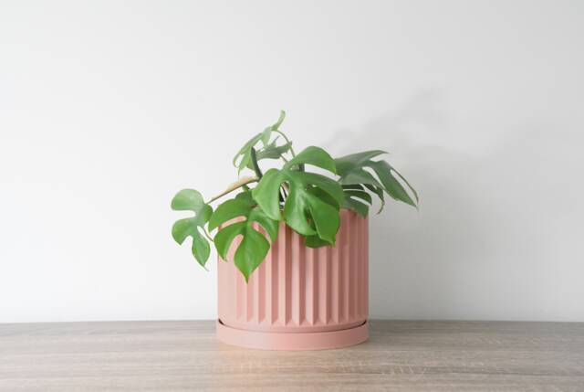 "Classical Planter With Drainage & Saucer in Country Pink, Unique 3D-Printed Plant Pot, Sizes 4"" 5"" 6"" 7"" 8" - image 1