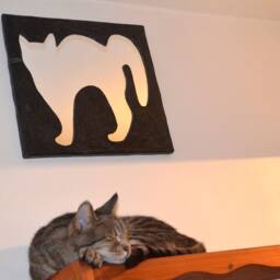 Curiosities & Oddities Black Cat Mirror With 3 Real Cat Whiskers, Decorative Wall Mirror, Large Black Furniture, Mirrors - thumbnail 2