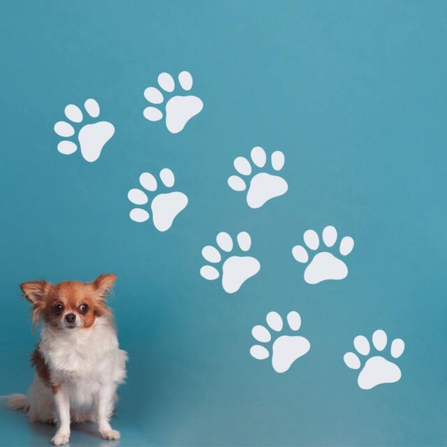 Wall Decals Dog Paws Decal Pet Shop Grooming Salon Decor Vinyl Art Interior Design Nursery Room Home Window Decorations Sticker - Ma130 - image 1