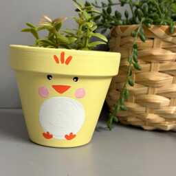 Easter Chick Terracotta Plant Pot, Indoor Plants, Gifts - thumbnail 2