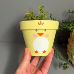 Easter Chick Terracotta Plant Pot, Indoor Plants, Gifts - thumbnail 3