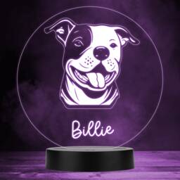 staffordshire Bull Terrier Dog Pet Multicolour Personalised Gift Led Night Light - Bedroom Lamp