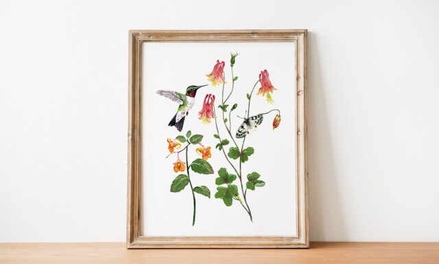 Hummingbird Botanical Art Print Butterfly, Columbine, Jewelweed - 8x10