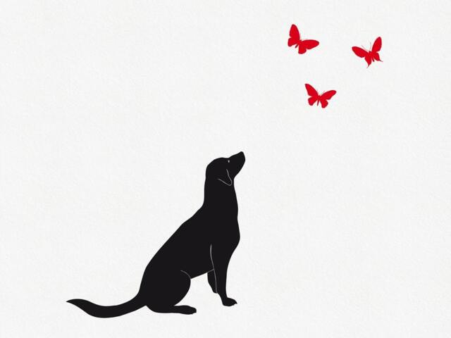 Dog Wall Decal With Butterflies Unique Baby Boy Nursery Decor - Puppy Art Removable Stickers For Kids Room Playroom - image 1