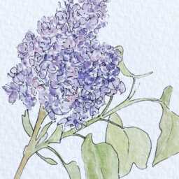 New Hampshire State Flower Map Watercolor Purple Lilac - Art Print Wall Graduation Wedding Realtor Moving Gift New England Floral - thumbnail 2