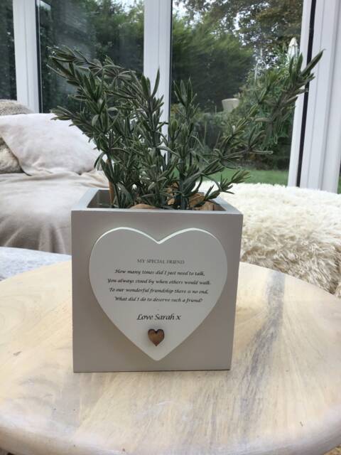 Best Friend Personalised Flower/Plant Pot Special Friend Gift Shabby Chic Style. Friendship Lifelong Christmas Birthday Any Names - image 1