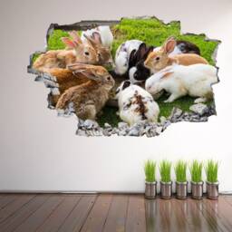 Cute Rabbits Wall Decal Sticker Mural Poster Print Art Kids Bedroom Home Decor Ev10 - thumbnail 3