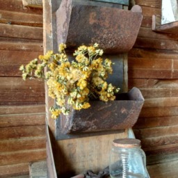 Vertical Wall Planter Boxes Repurposed Conveyor Cups On Vintage Wood Shelf - thumbnail 2