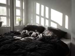 Black Linen Duvet Cover Soft 1 Medium Weight Cover Breathable Stonewashed Comfort