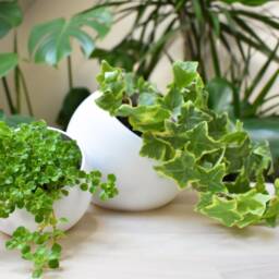Tilted Sphere Planter, Modern Plant Pot, Eco-Friendly Pla - thumbnail 3