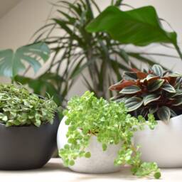 Tilted Sphere Planter, Modern Plant Pot, Eco-Friendly Pla - thumbnail 2