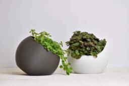 Tilted Sphere Planter, Modern Plant Pot, Eco-Friendly Pla - thumbnail 1