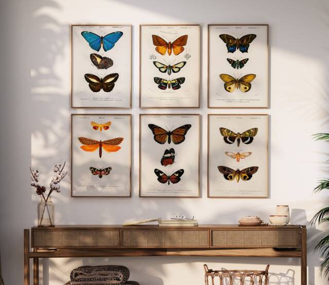 Set Of 6 Vintage Butterflies, Butterfly Poster Set, Horticulture Prints, Botanical Poster, Animal Art Print, A1/A2/A3/A4 - image 1