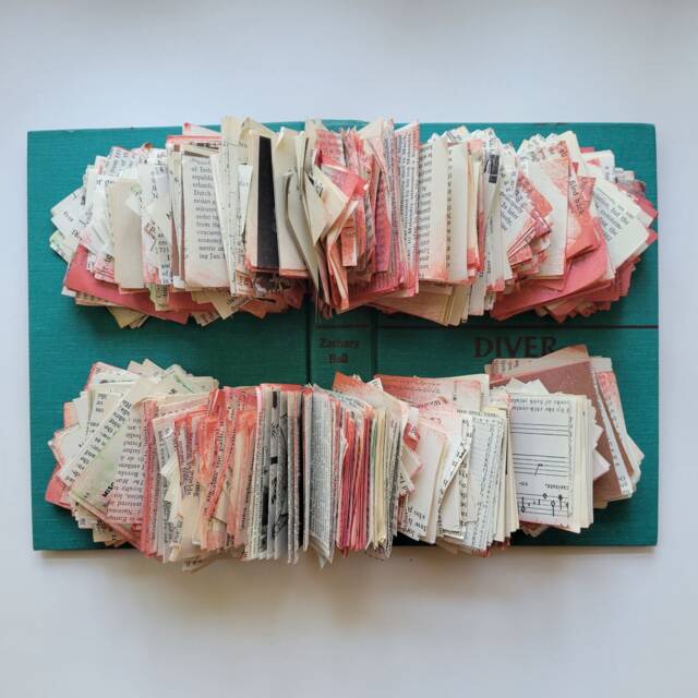 Altered Book Wall Art-Diver - image 1