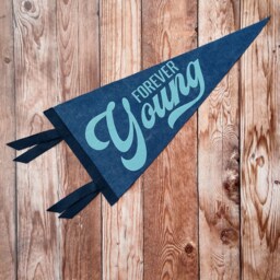 Forever Young Pennant- Triangle Wool Felt Wall Hanging - Nursery, Kids Room Decor - thumbnail 1