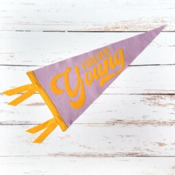 Forever Young Pennant- Triangle Wool Felt Wall Hanging - Nursery, Kids Room Decor - thumbnail 3