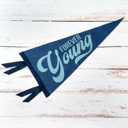 Forever Young Pennant- Triangle Wool Felt Wall Hanging - Nursery, Kids Room Decor - thumbnail 2