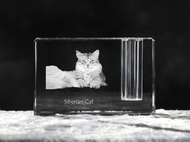 Siberian Cat , Crystal Pen Holder With Cat, Souvenir, Decoration, Limited Edition, Collection - image 1