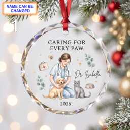 Caring For Every Paw Christmas Glass Ornament, Custom Veterinarian Keepsake With Puppy, Cat, Stethoscope & Pet Care Details - thumbnail 1
