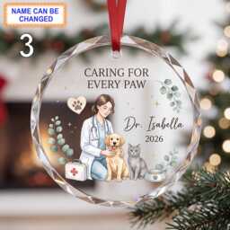 Caring For Every Paw Christmas Glass Ornament, Custom Veterinarian Keepsake With Puppy, Cat, Stethoscope & Pet Care Details - thumbnail 3