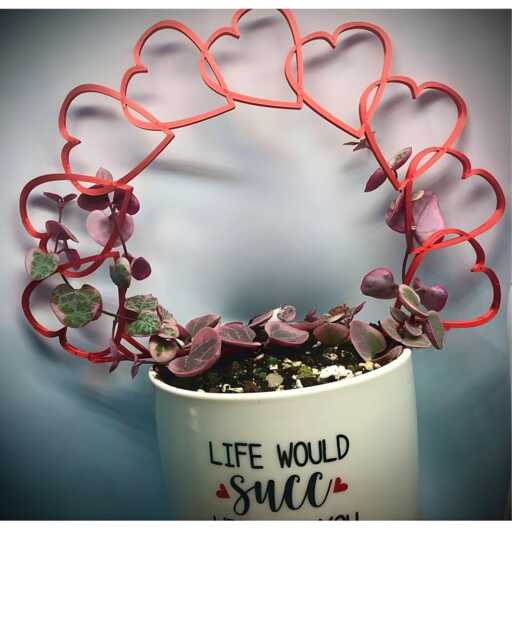 Mini Heart Houseplant Trellis, 3D Printed Support - image 1