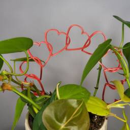 Mini Heart Houseplant Trellis, 3D Printed Support - thumbnail 3